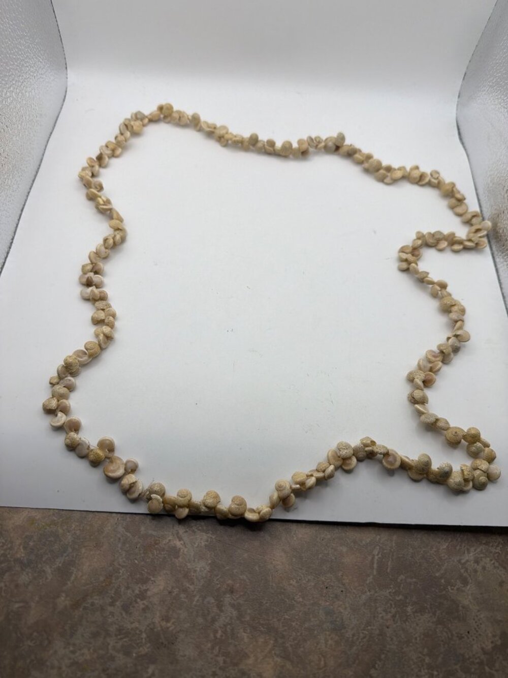 Natural Shell Beaded Necklace 16-Inch Beach-Inspired Jewelry For Casual Or Coast